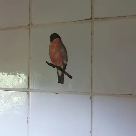 - Retreat Na Kopci Vakantiehuis *